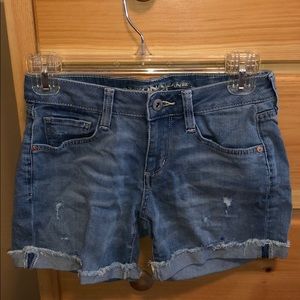 Arizona Jean Co. Light Blue Shorts